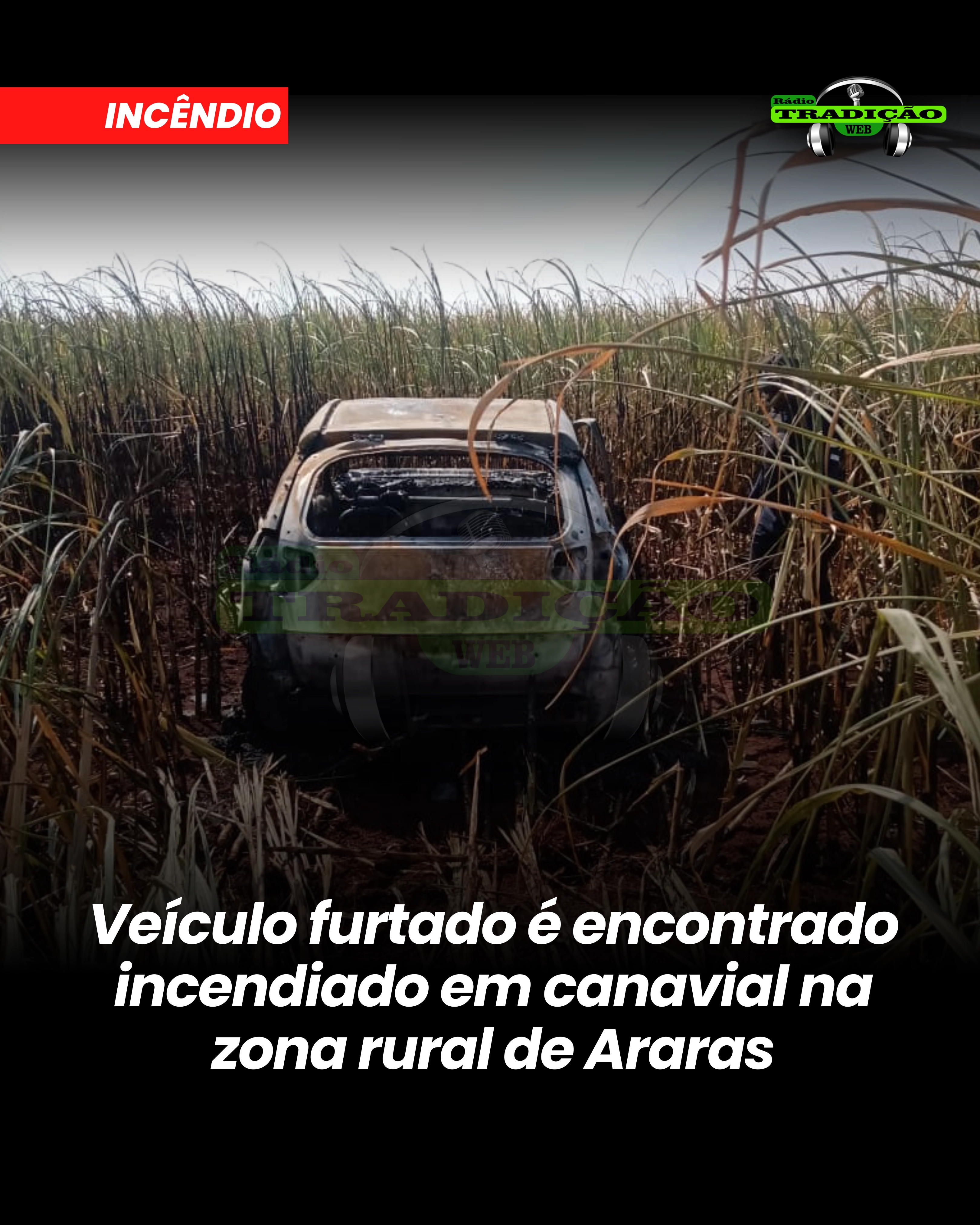 Imagem de exemplo