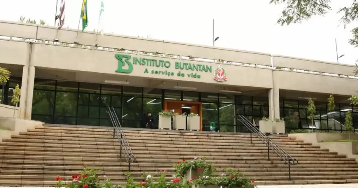 Imagem de exemplo