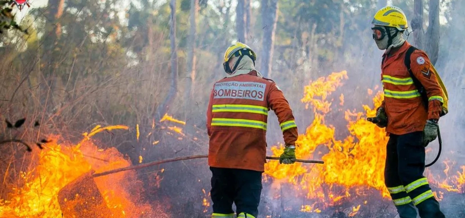 Ibama aplica R$ 2 milhões em multas por queimadas ilegais na Amazônia