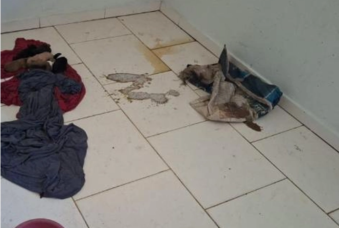 Imagem de exemplo