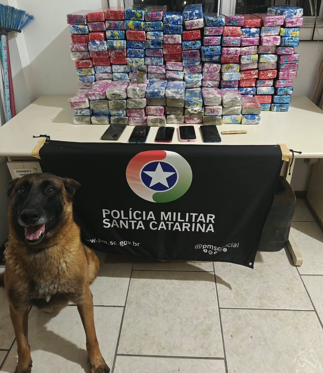 Mais de 104 kg de maconha são apreendidos em operação conjunta na cidade de  Porto União