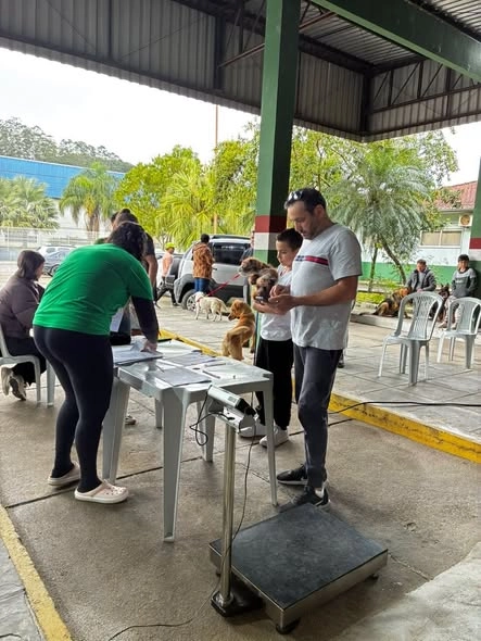 Segunda etapa do mutirão de castrações gratuitas registra 179 animais em Nova Trento