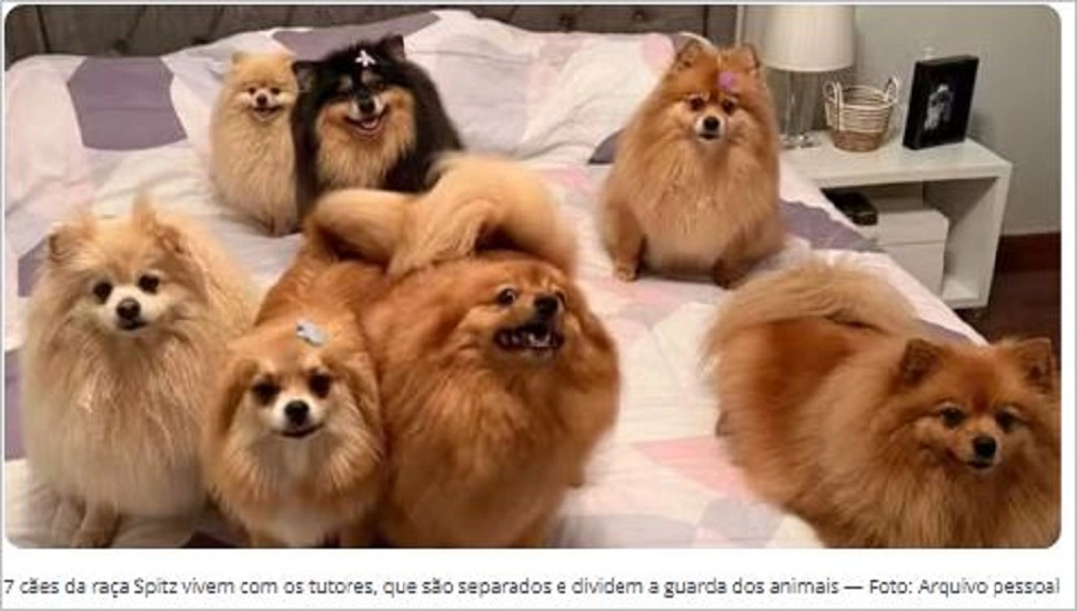 Imagem de exemplo