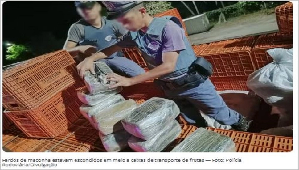 Imagem de exemplo