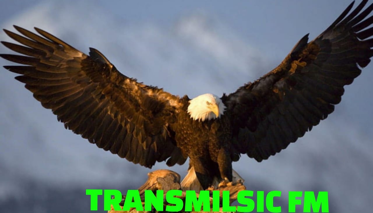 transmilsic fm 103.1 mhz / rj mage tel 55 21 979699721 so zap