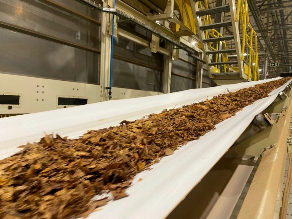 Imagem de exemplo