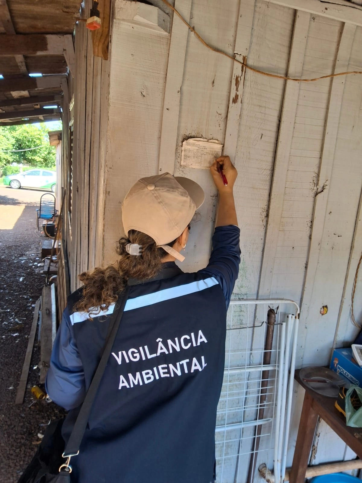 Palotina divulga resultados do levantamento de infestação do Aedes aegypti