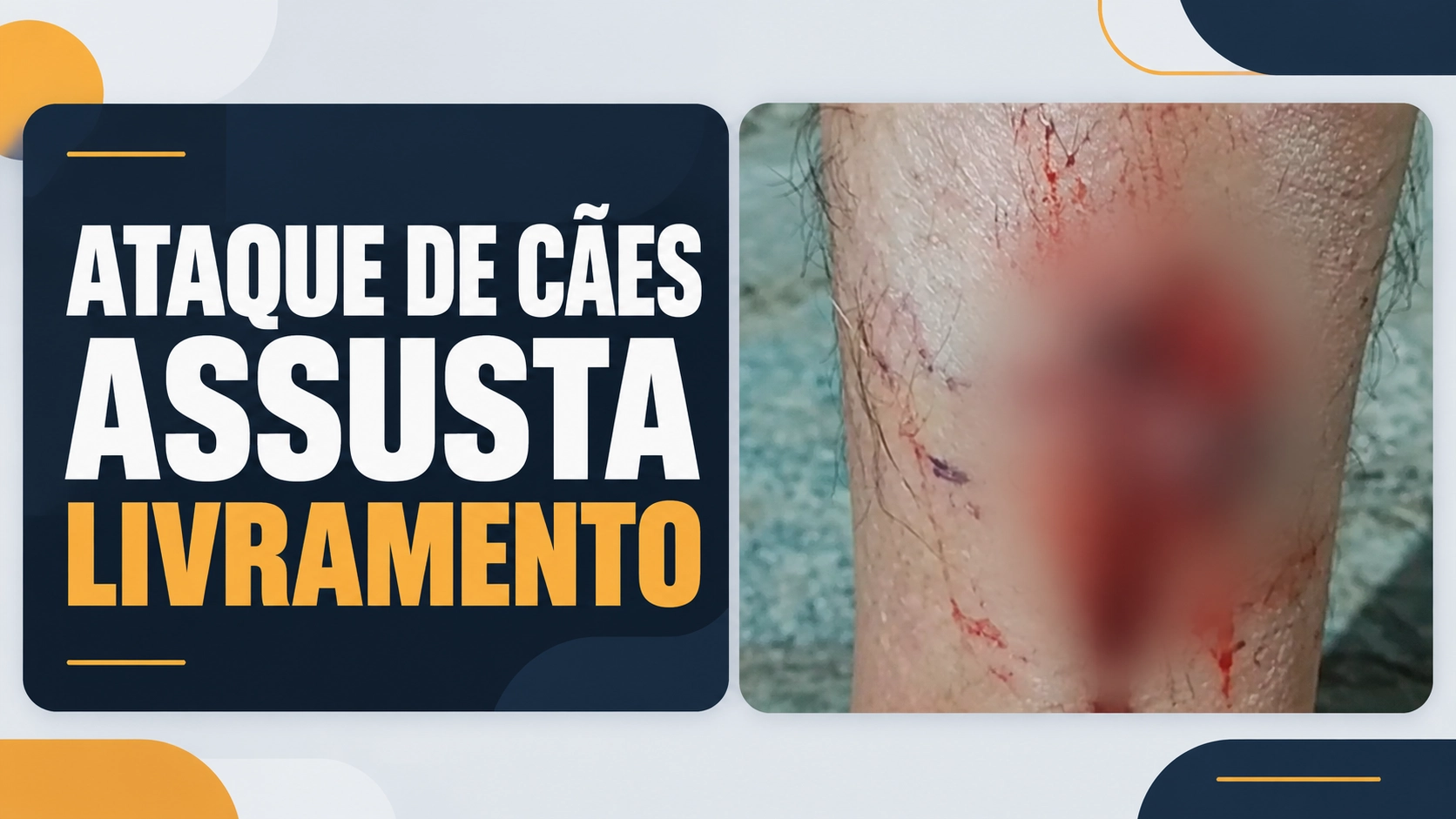 Homem fica ferido após ataque de grupo de cães em Livramento de Nossa Senhora