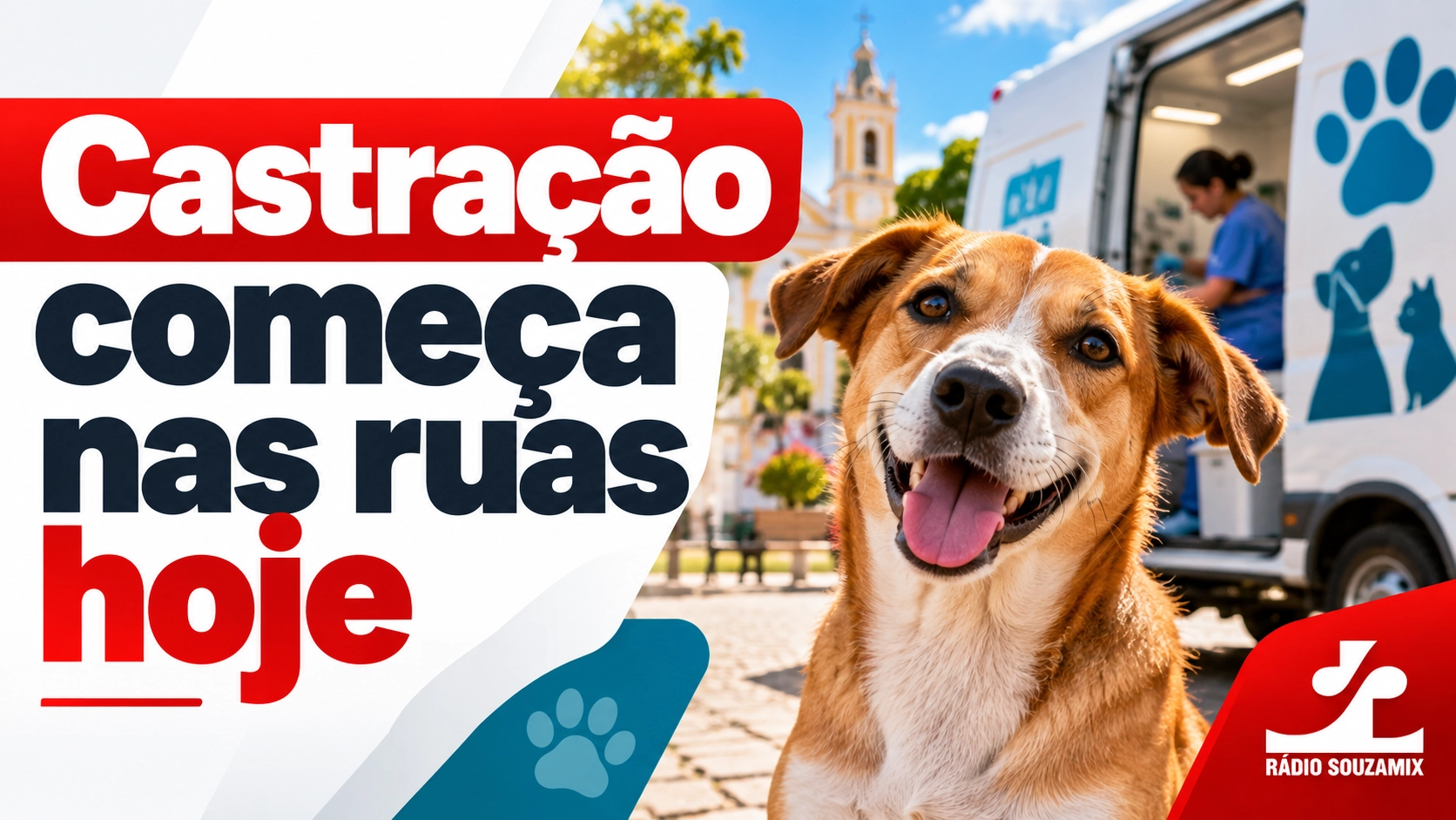 Brumado inicia castração de cães de rua; 22 cadelas já passaram pelo procedimento