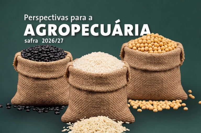 Safra 2026/27 pode alcançar 366,6 milhões de toneladas de grãos no Brasil, projeta Conab