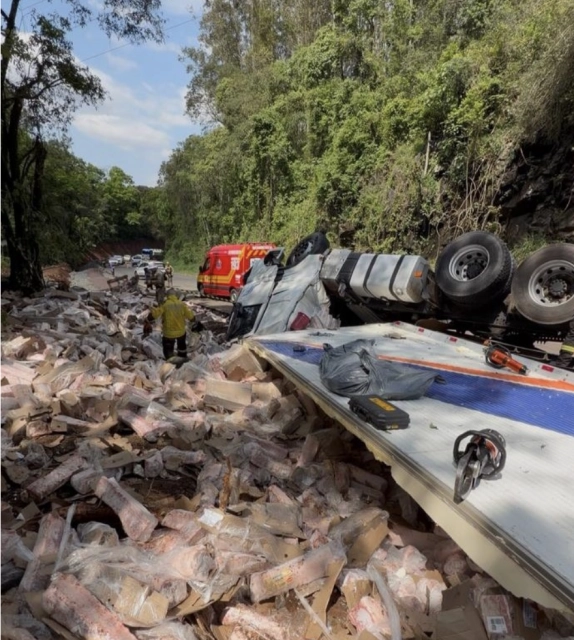 Motorista morre após carreta com carga de suínos capotar na SC-283 em Seara
