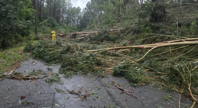 Vendaval destrói casas, derruba árvores e bloqueia BR-282; cidade de SC decreta emergência