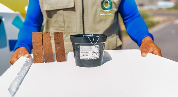 OVITRAMPAS: Prefeitura avança para nova etapa de monitoramento do Aedes aegypti em Boa Vista