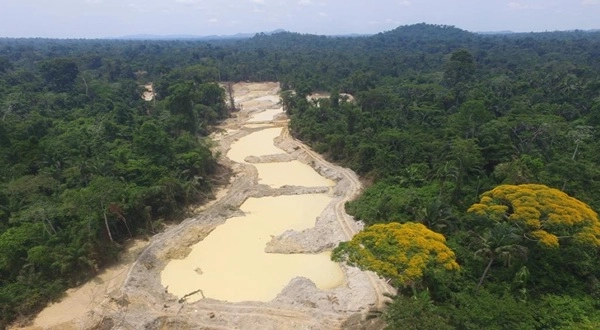 Justiça determina comprovação da origem de cassiterita ligada a garimpo na Terra Indígena Yanomami