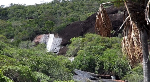 SEGURANÇA JURÍDICA: Roraima cria regras para novas unidades de conservação após proposta de reserva no Cantá