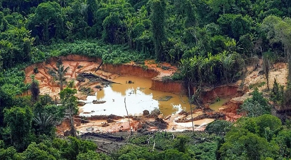 Justiça Federal bloqueia até R$ 146 milhões de empresas envolvidas em garimpo na Terra Indígena Yanomami