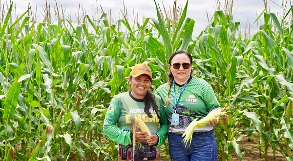 MULHERES DO CAMPO: Governo de Roraima amplia apoio a agricultoras para reduzir os efeitos da estiagem
