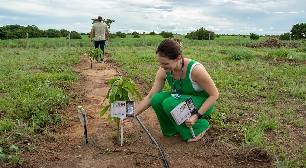 TJRR conquista 2º lugar no Índice de Desempenho de Sustentabilidade