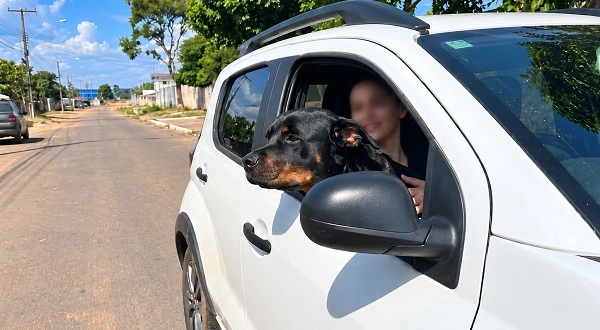 SEGURANÇA NO TRÂNSITO: Transporte de pets exige cuidados e atenção às regras de trânsito, orienta Detran-RR