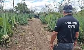 Imagem de exemplo