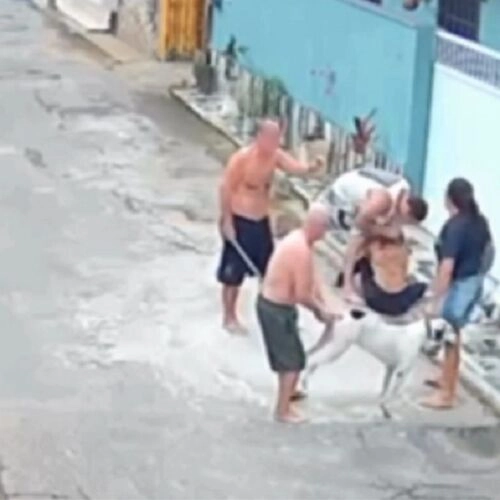 Imagem de exemplo