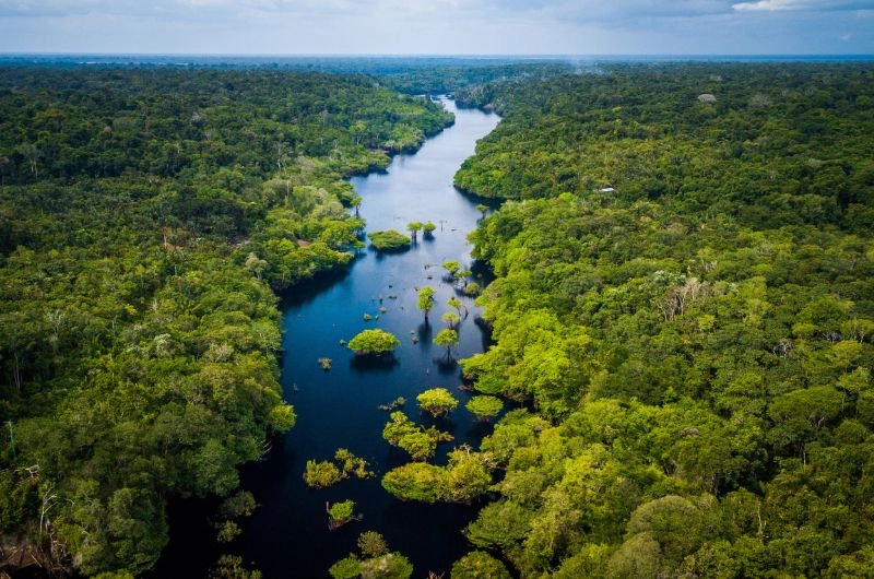 Cosméticos sustentáveis da Amazônia geram renda para 13 mil famílias e protegem a floresta