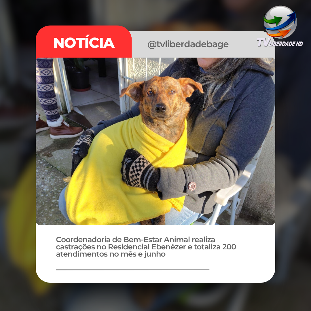 Imagem de exemplo