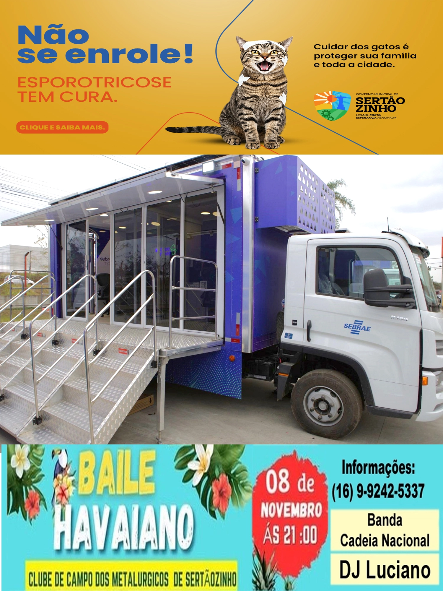 Imagem de exemplo