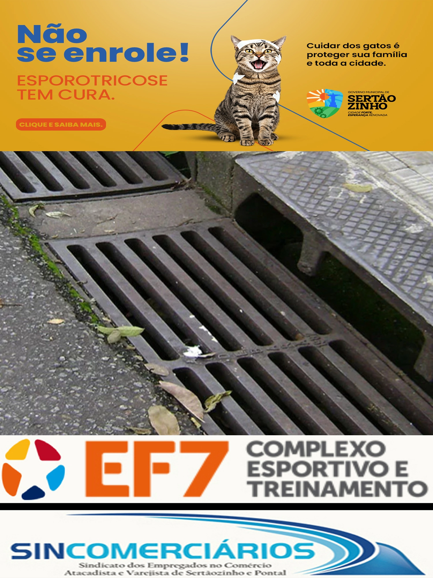 Imagem de exemplo