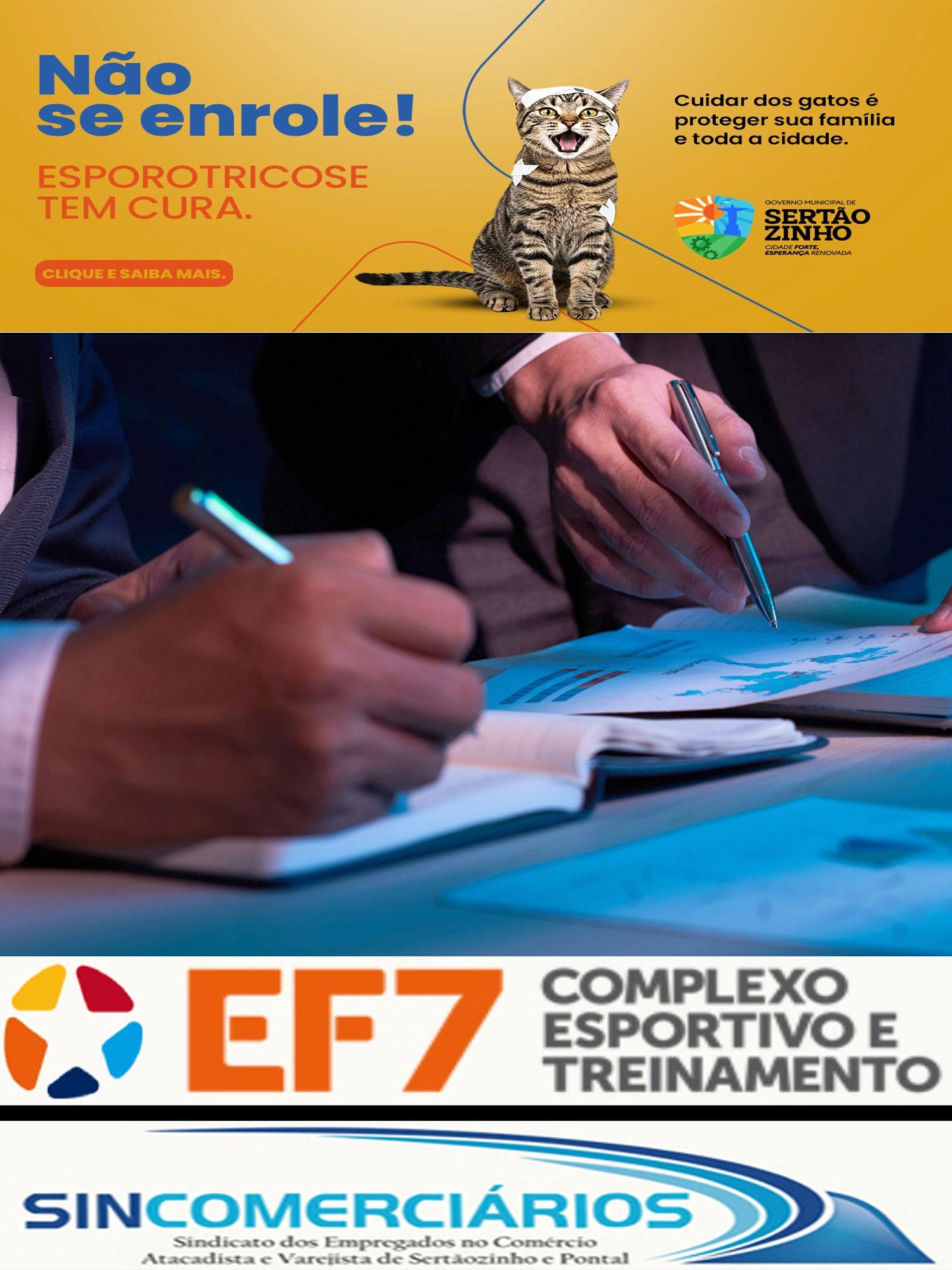 Imagem de exemplo