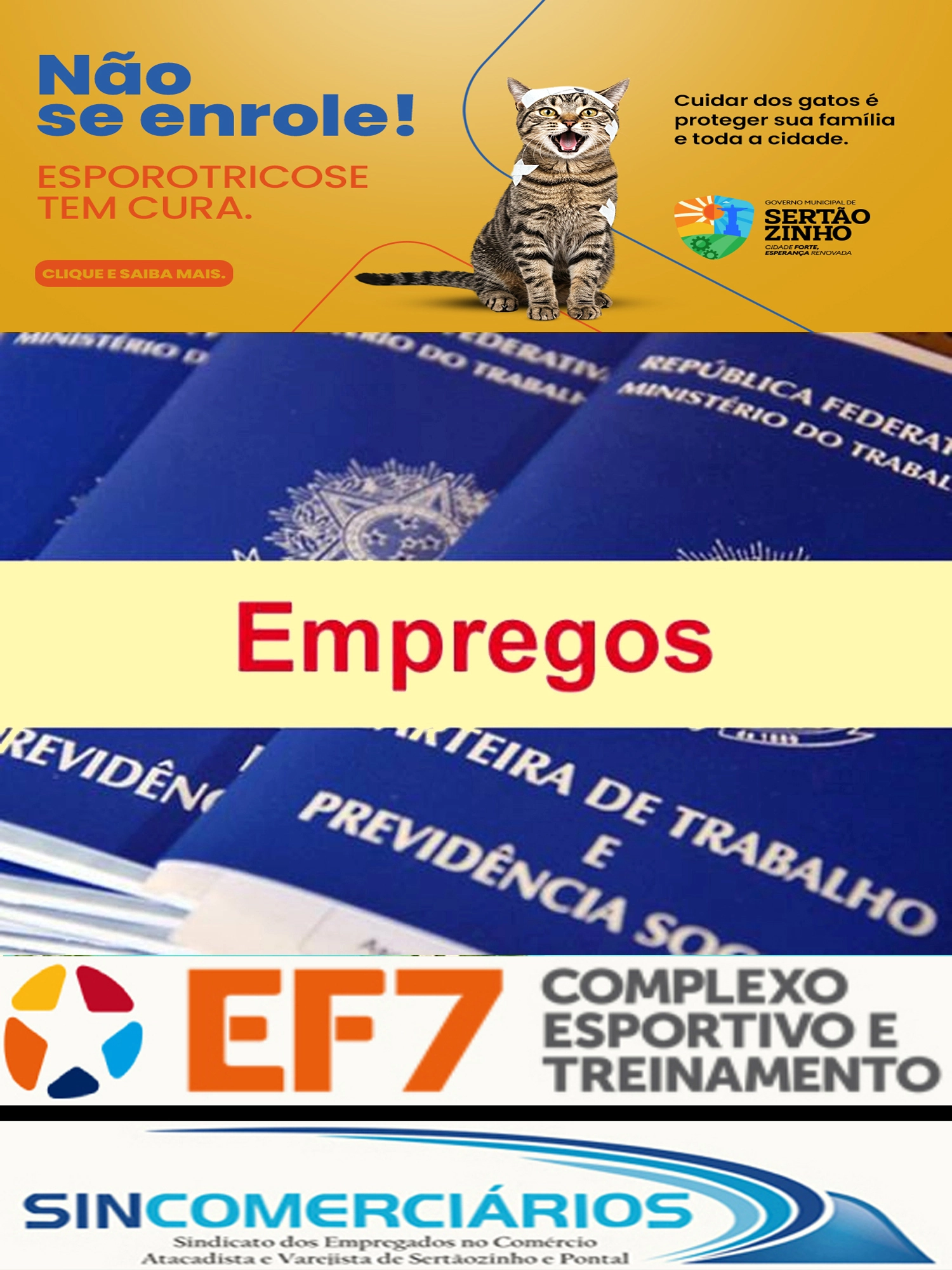 Imagem de exemplo