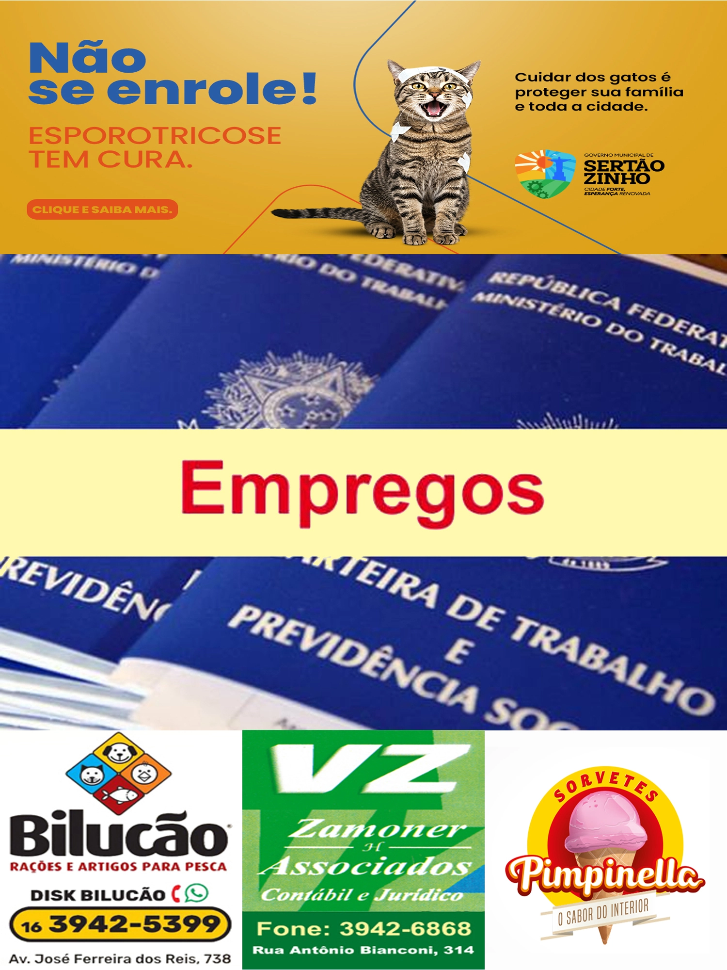 Imagem de exemplo