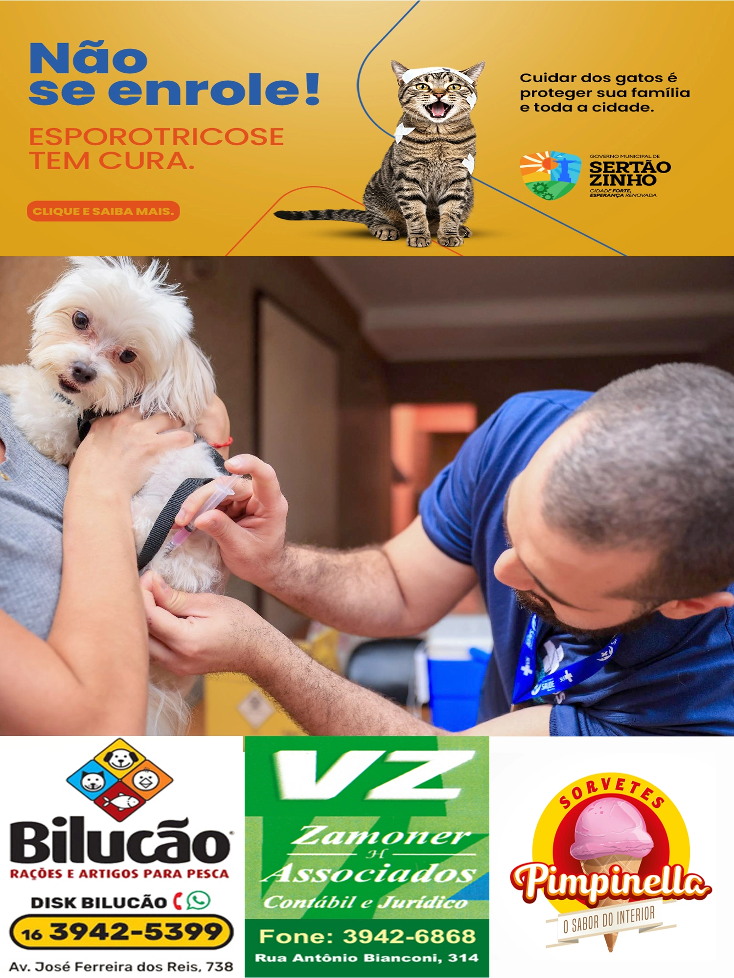 Imagem de exemplo