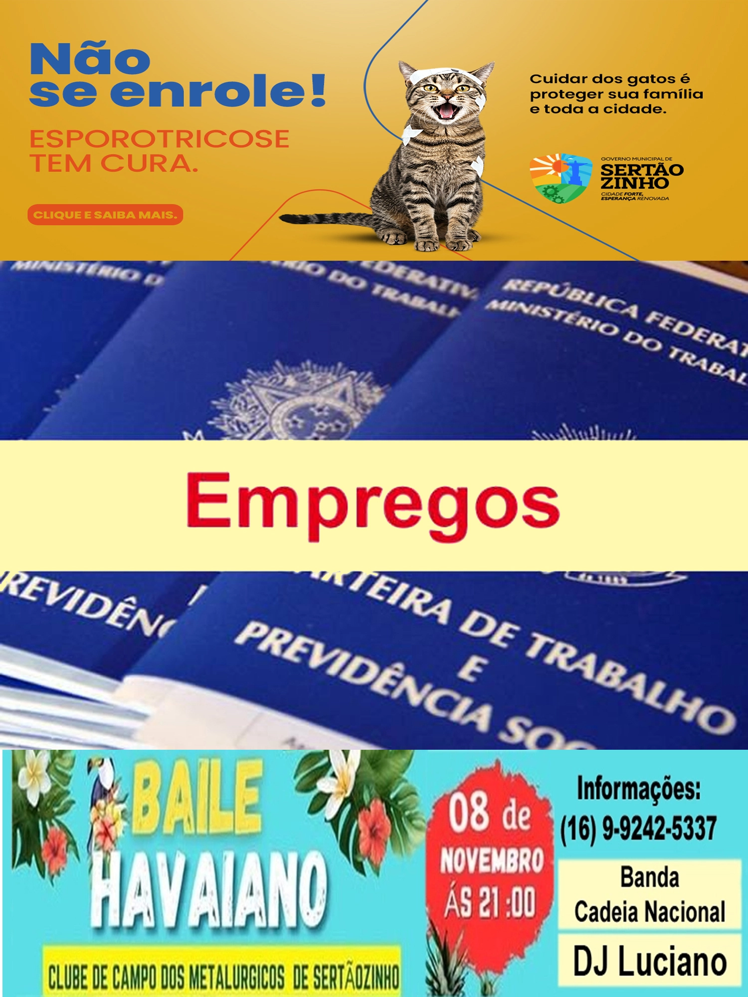 Imagem de exemplo