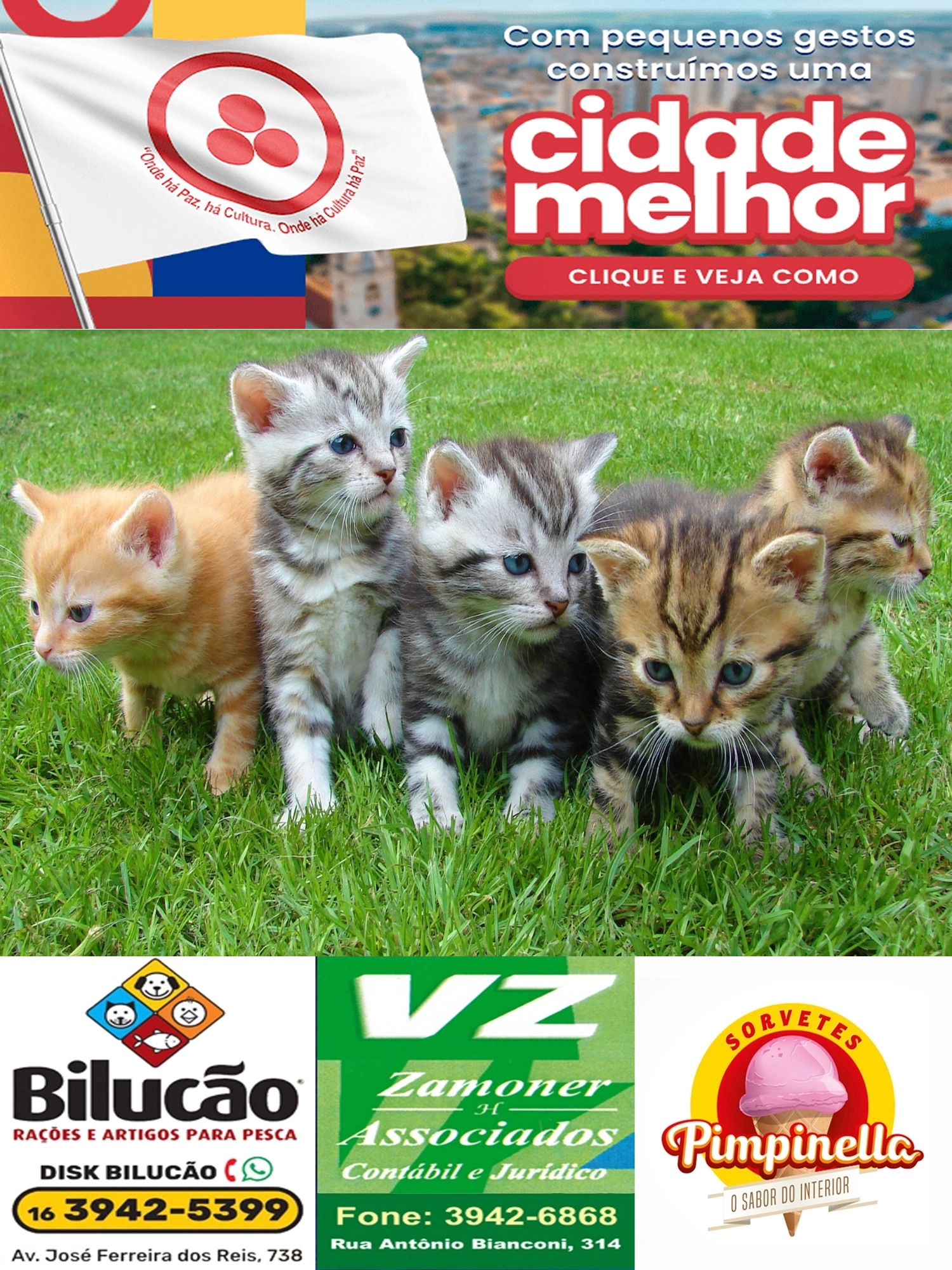 Evento de adoção responsável oferece nova oportunidade para cães e gatos neste sábado, dia 8, na Praça 21 de abril