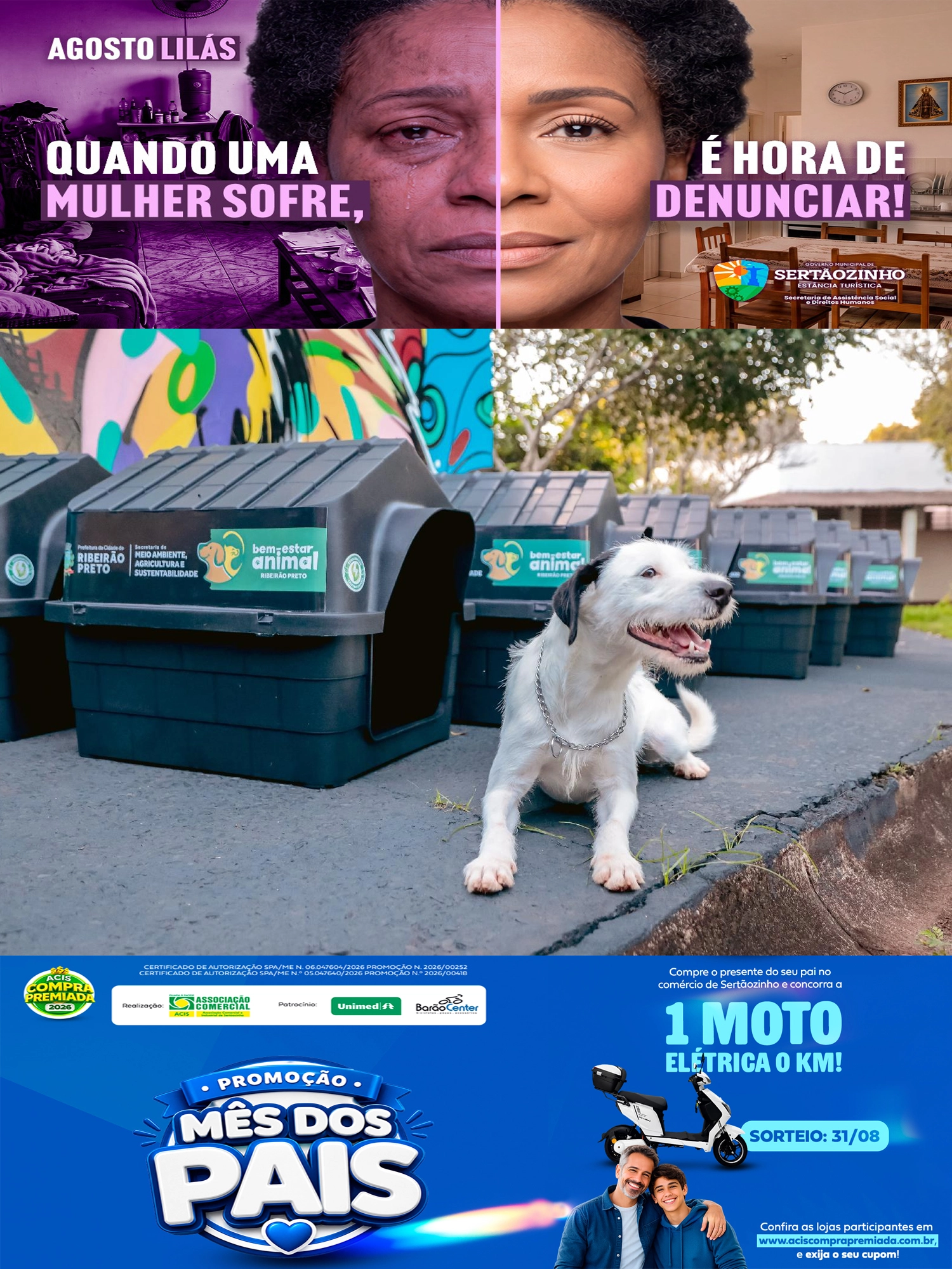 Prefeitura lança programa Nosso Pet Protegido com doação de 100 casinhas para cães e gatos