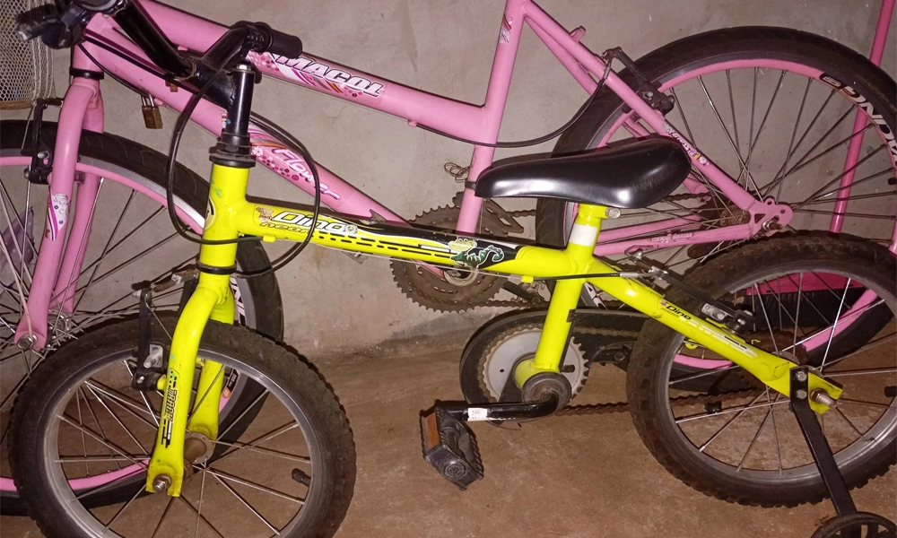 Vende-se duas bicicletas: adulto e infantil