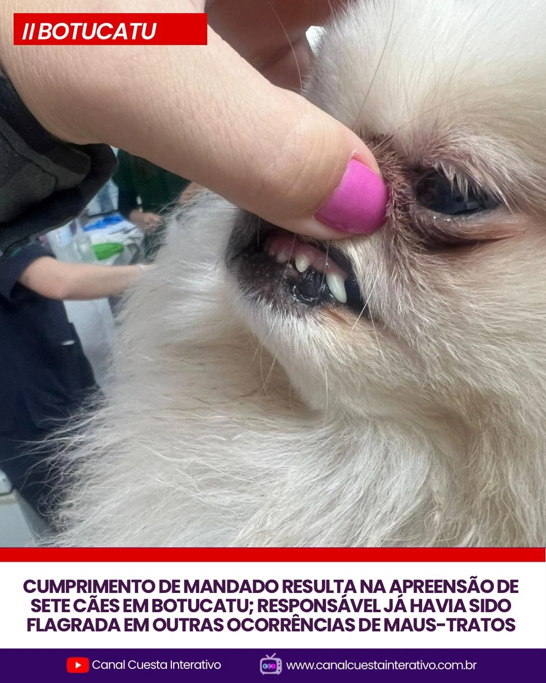 Imagem de exemplo