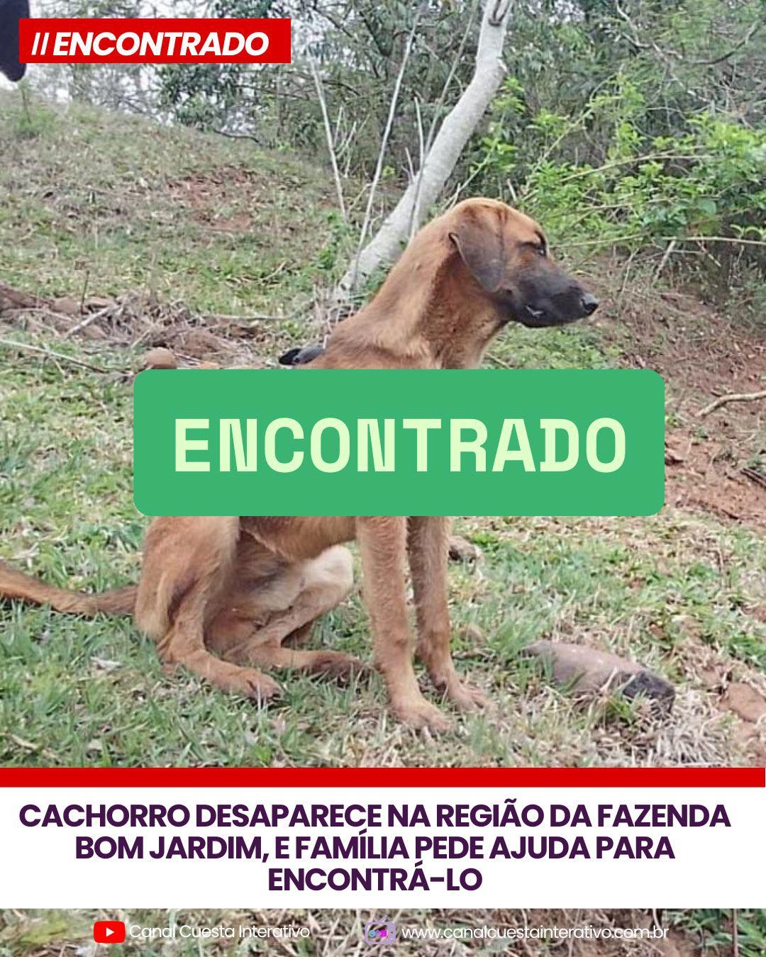Imagem de exemplo