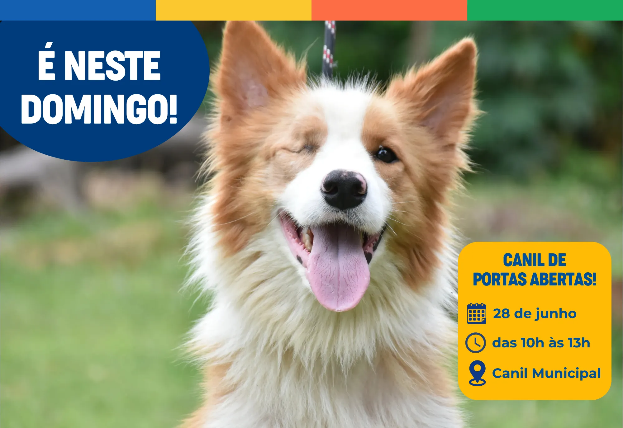 Imagem de exemplo