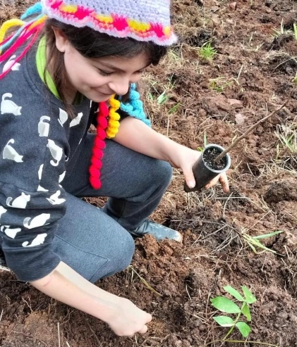 Monte Alegre do Sul realiza plantio de mais 1.000 mudas de árvores