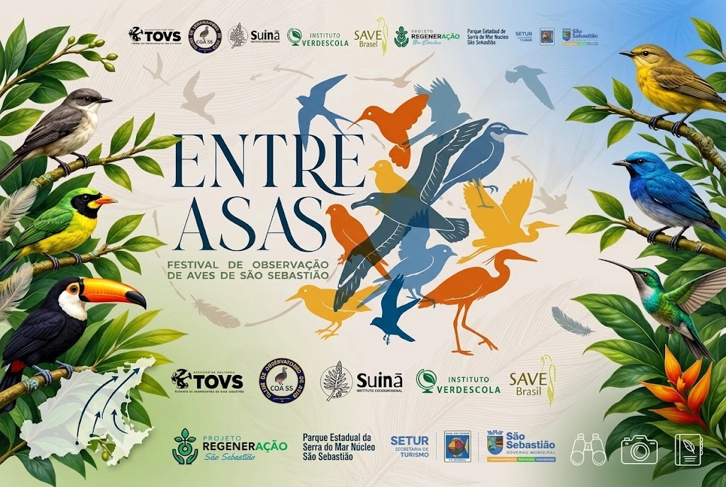 Entre Asas: São Sebastião estreia festival que une aves, Mata Atlântica e cultura caiçara