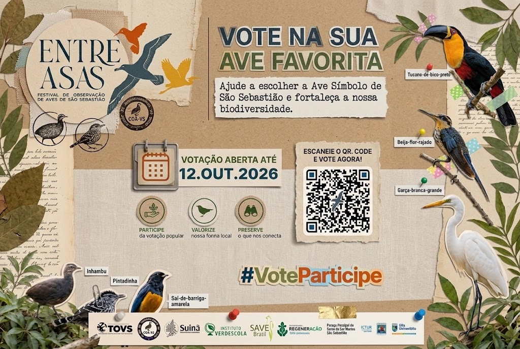 Qual ave representa São Sebastião? Votação popular reúne seis espécies e segue até 12 de outubro